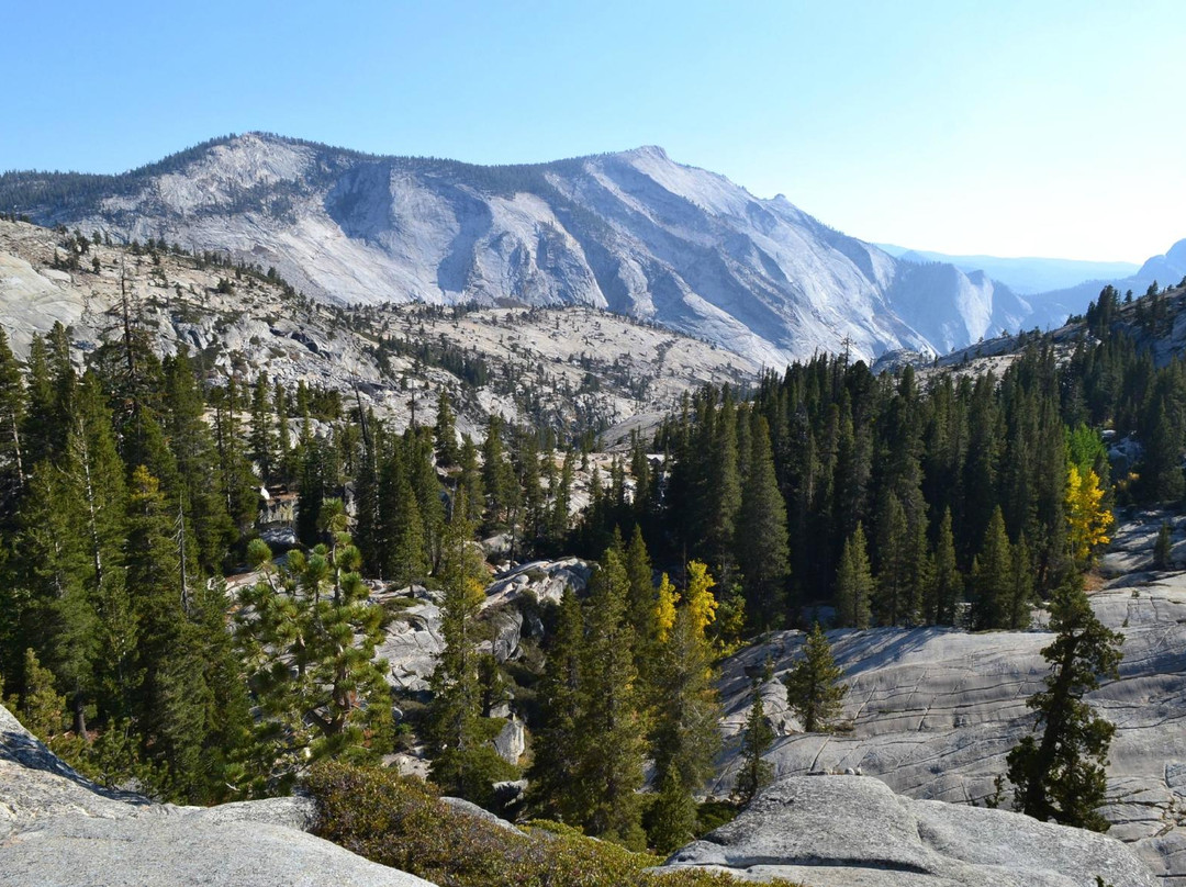 Tioga Road-利韦宁必去景点