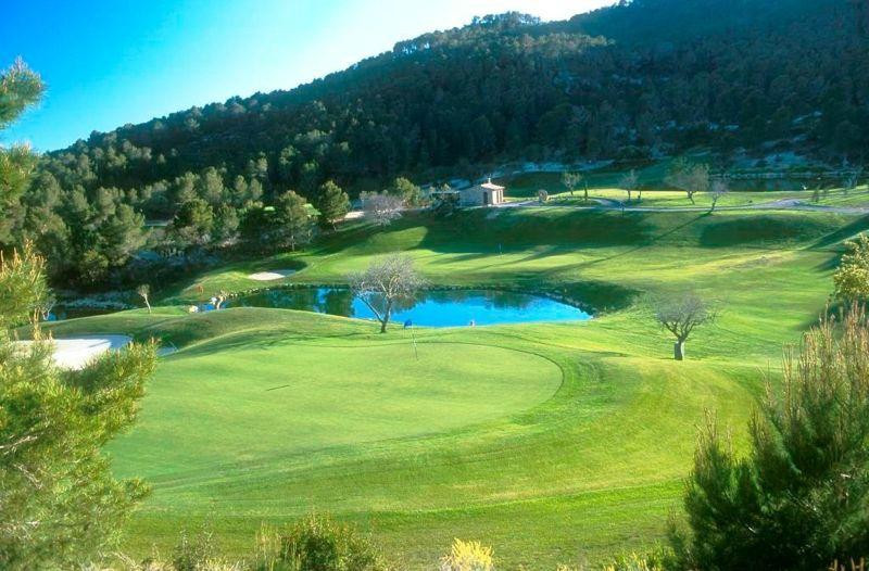 Golf de Andratx景点图片