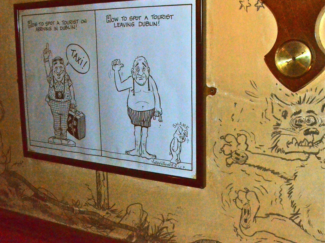 Cartoon Inn-County Wicklow必去景点