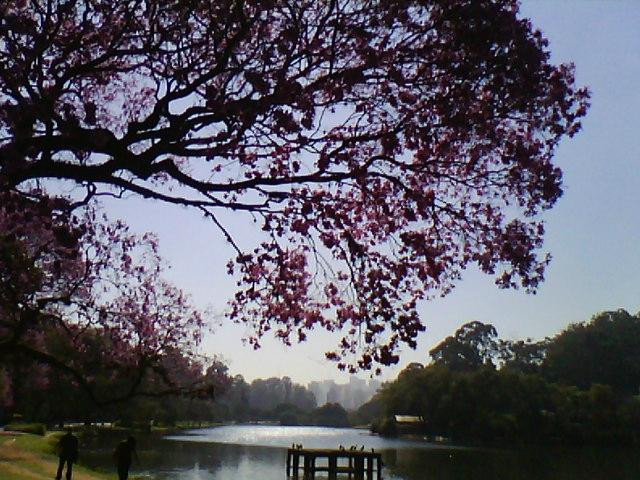 伊比拉布维拉公园-圣保罗必去景点