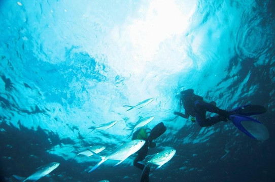 Diving Center Tangier-丹吉尔必去景点