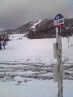 Hachi Highlands-养父市必去景点