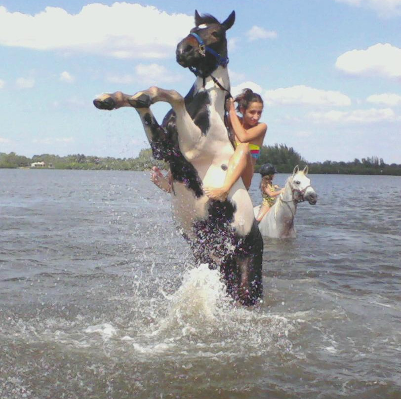 Sandy Hooves Horse Adventures-布雷登顿必去景点