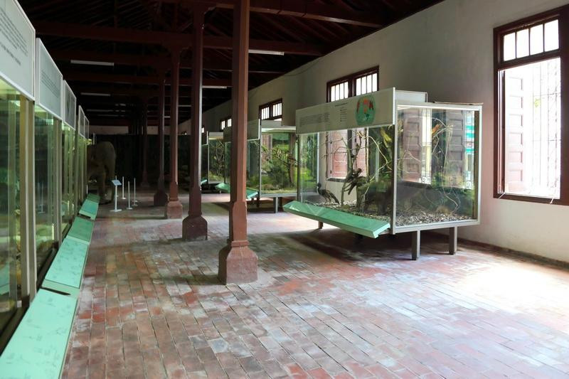 Museo Provincial General Ignacio Agramonte-卡马圭必去景点