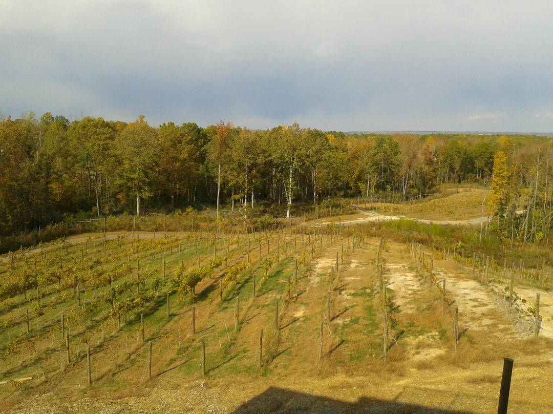 Saude Creek Vineyards-Lanexa必去景点