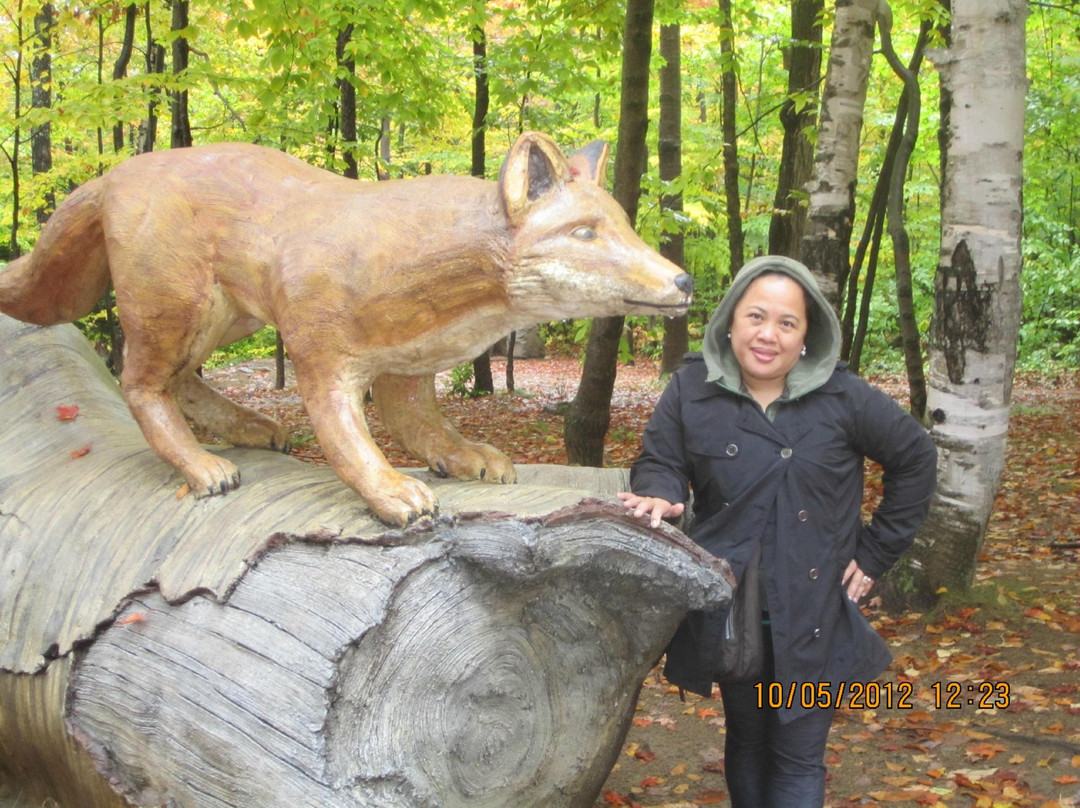 Croisieres Charlevoix-Saint-Simeon必去景点