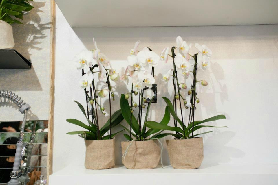 Bouquet Boutique -Fleuriste--San Daniele del Friuli必去景点