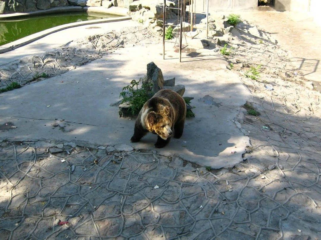 天津动物园-天津市必去景点