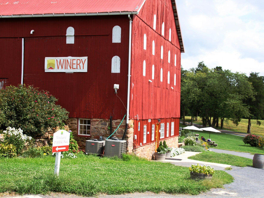 Sugarloaf Mountain Vineyard景点图片