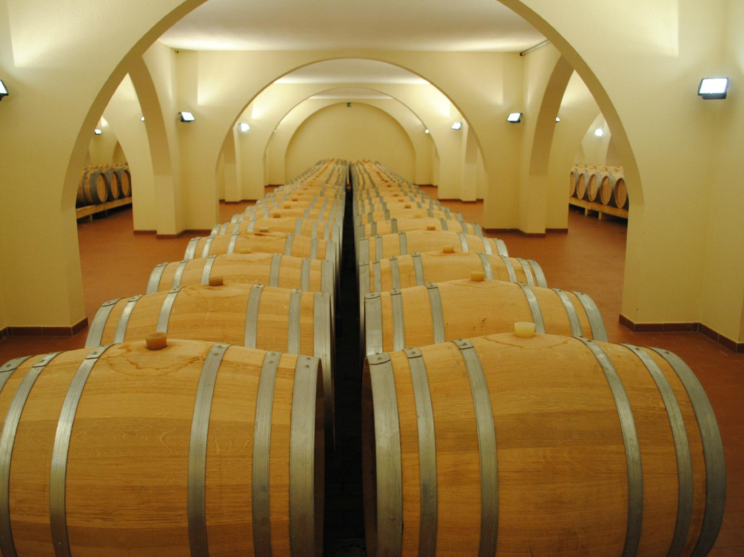 Azienda Agricola Vie di Romans景点图片
