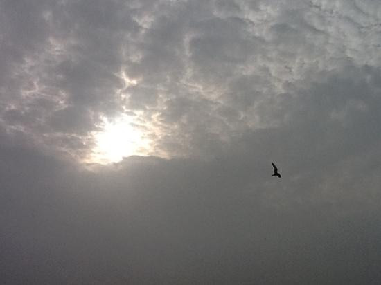 Sabarmati Riverfront景点图片
