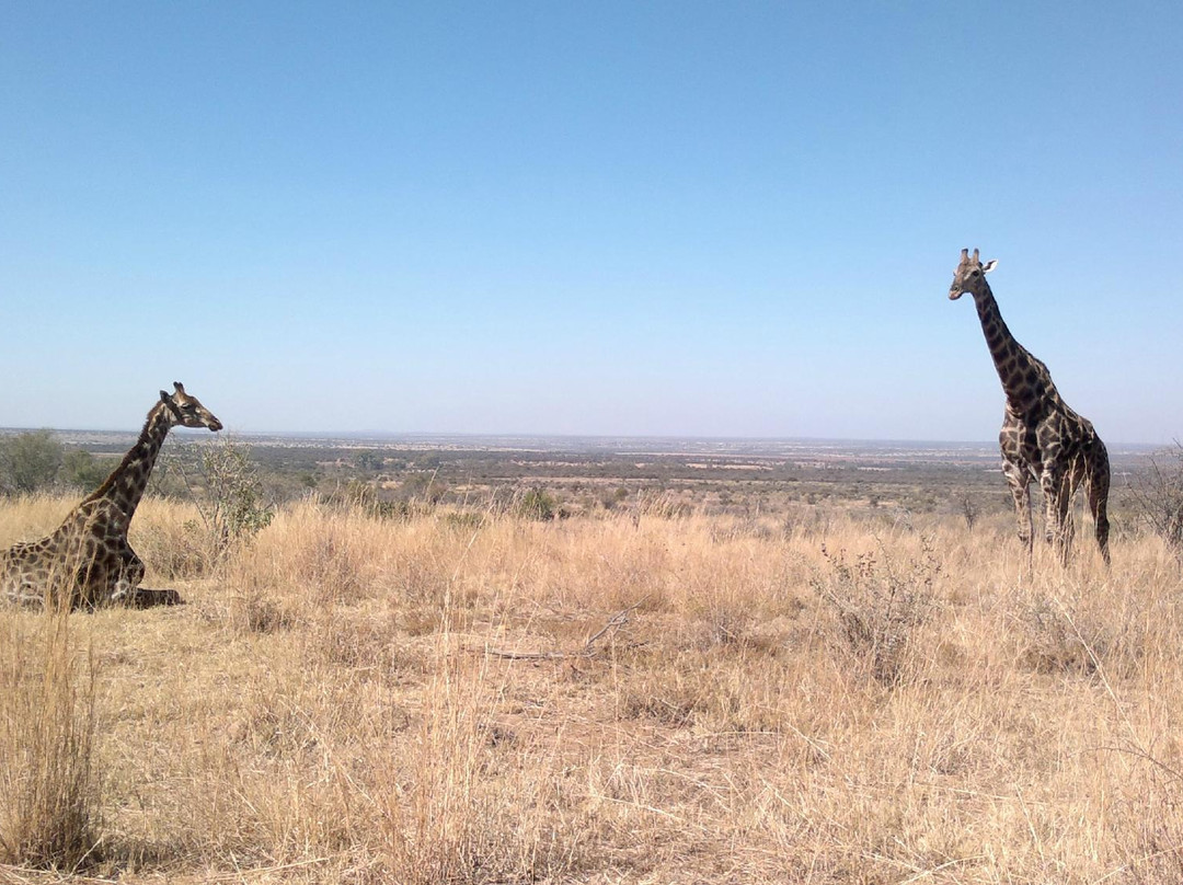 Kgaswane Nature Reserve-鲁斯登堡必去景点
