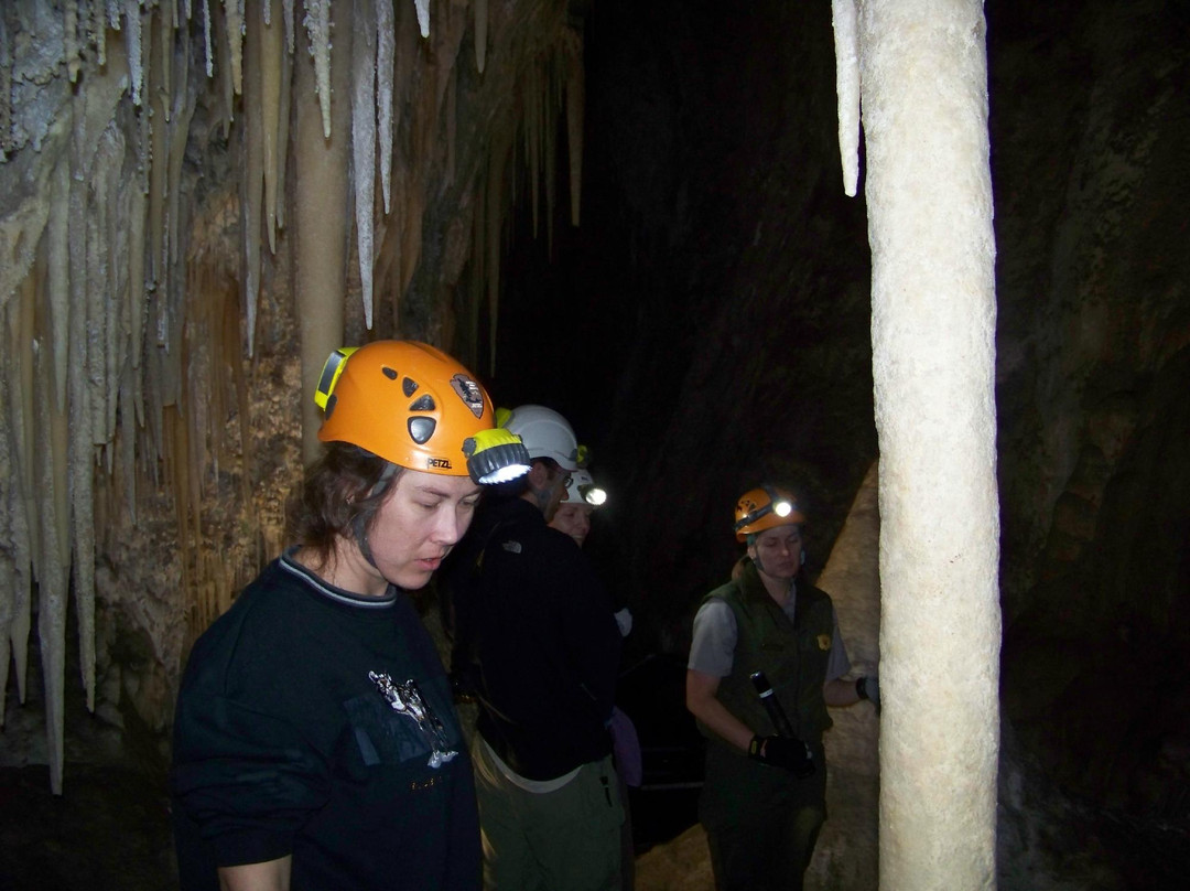 Lower Cave Tour-卡尔斯巴德洞穴国家公园必去景点