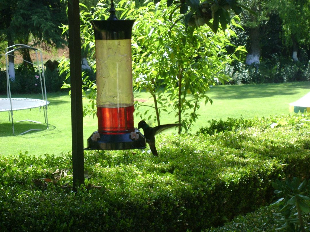 Centro Ecoturistico del Lago主图
