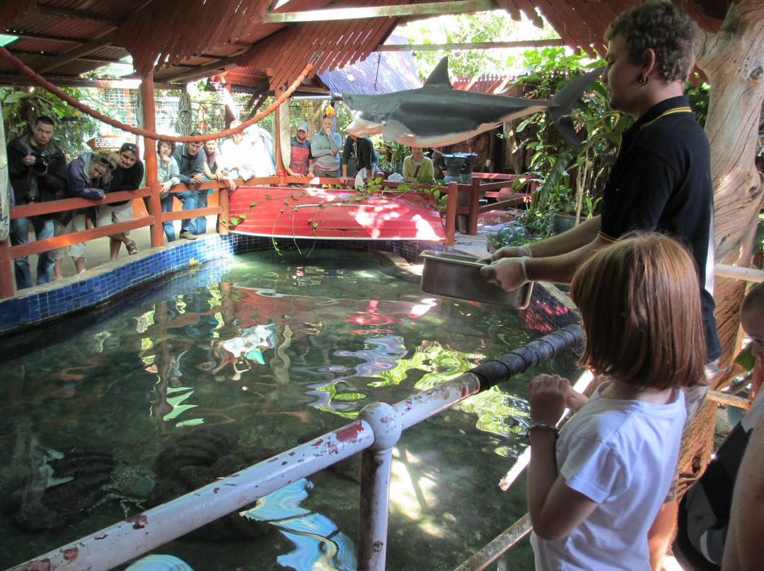Marineland Melanesia Crocodile Habitat景点图片