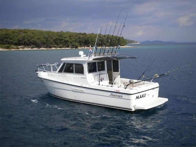 Predator Big Game Fishing景点图片