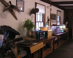 Sharon Audubon Center-Sharon必去景点