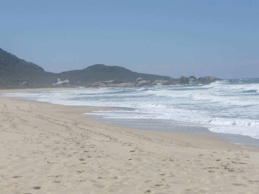 Praia Mole-弗洛里亚诺波利斯必去景点