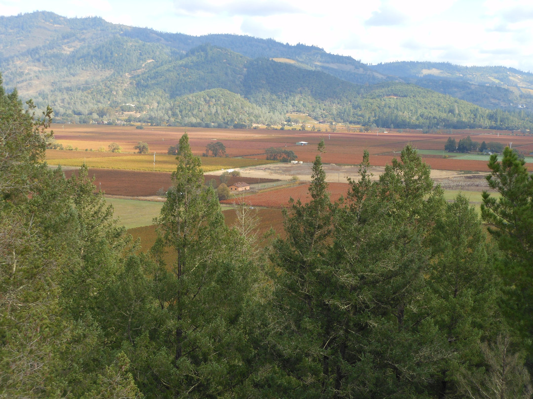 史特林酒庄-卡利斯托加必去景点