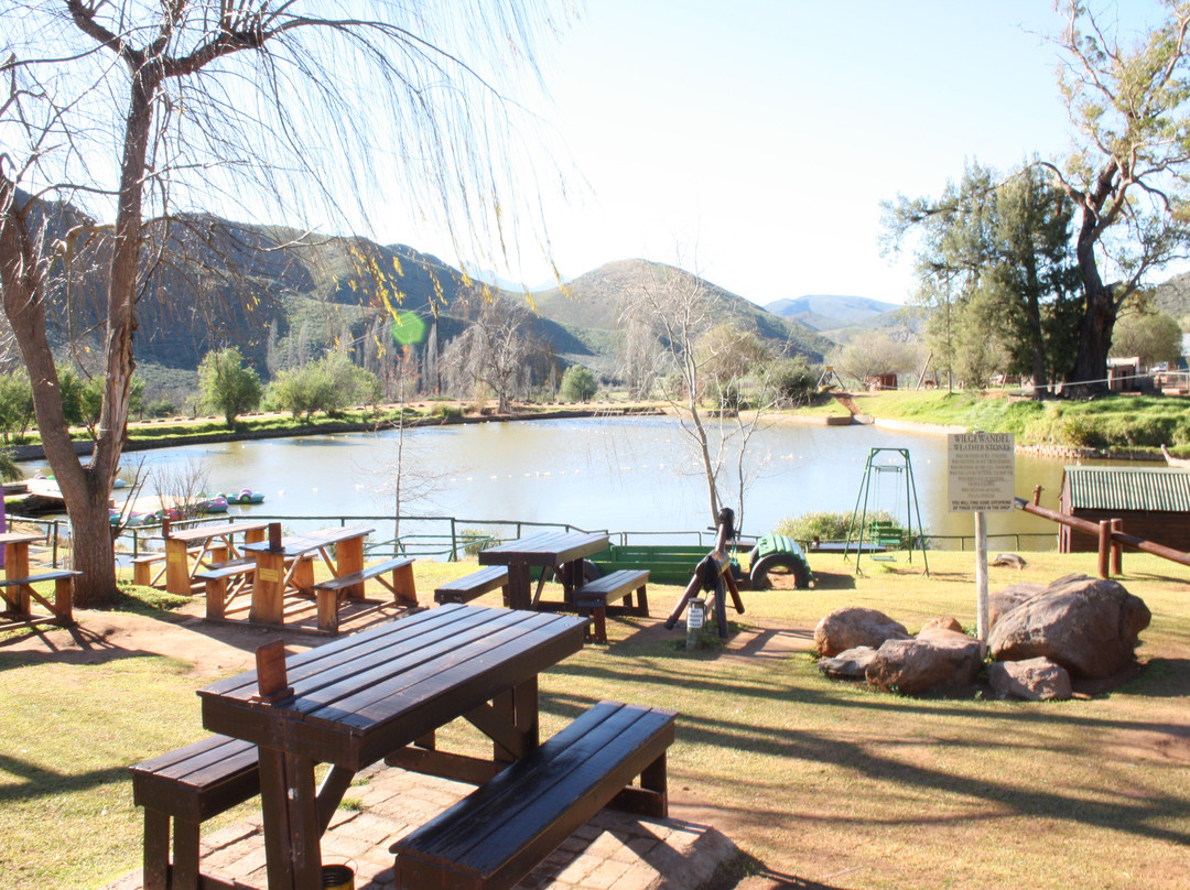 Wilgewandel Holiday Farm-奥兹洪必去景点