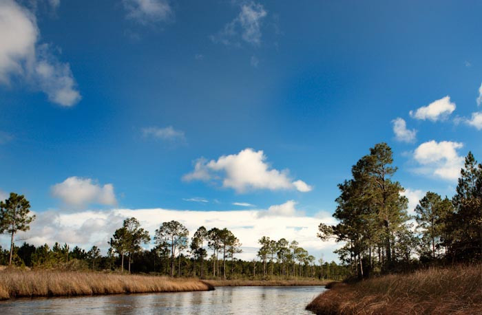 Wild Thang Airboat Tours-巴拿马城海滩必去景点