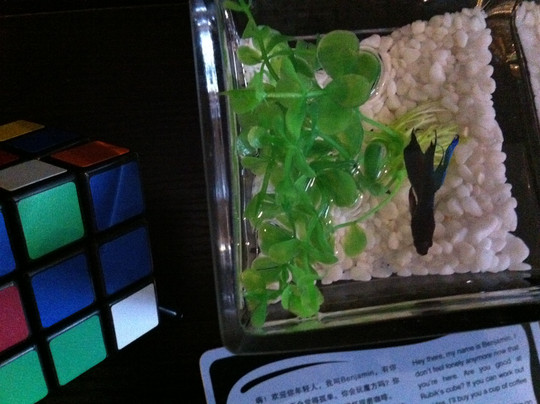 北京桔子酒店劲松桥东店主图