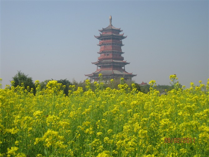 厦门园博苑景点图片