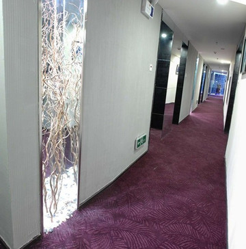 布里斯班阳光酒店主图