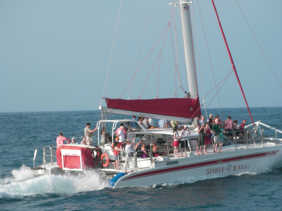 Capt Andy's-埃里埃利必去景点