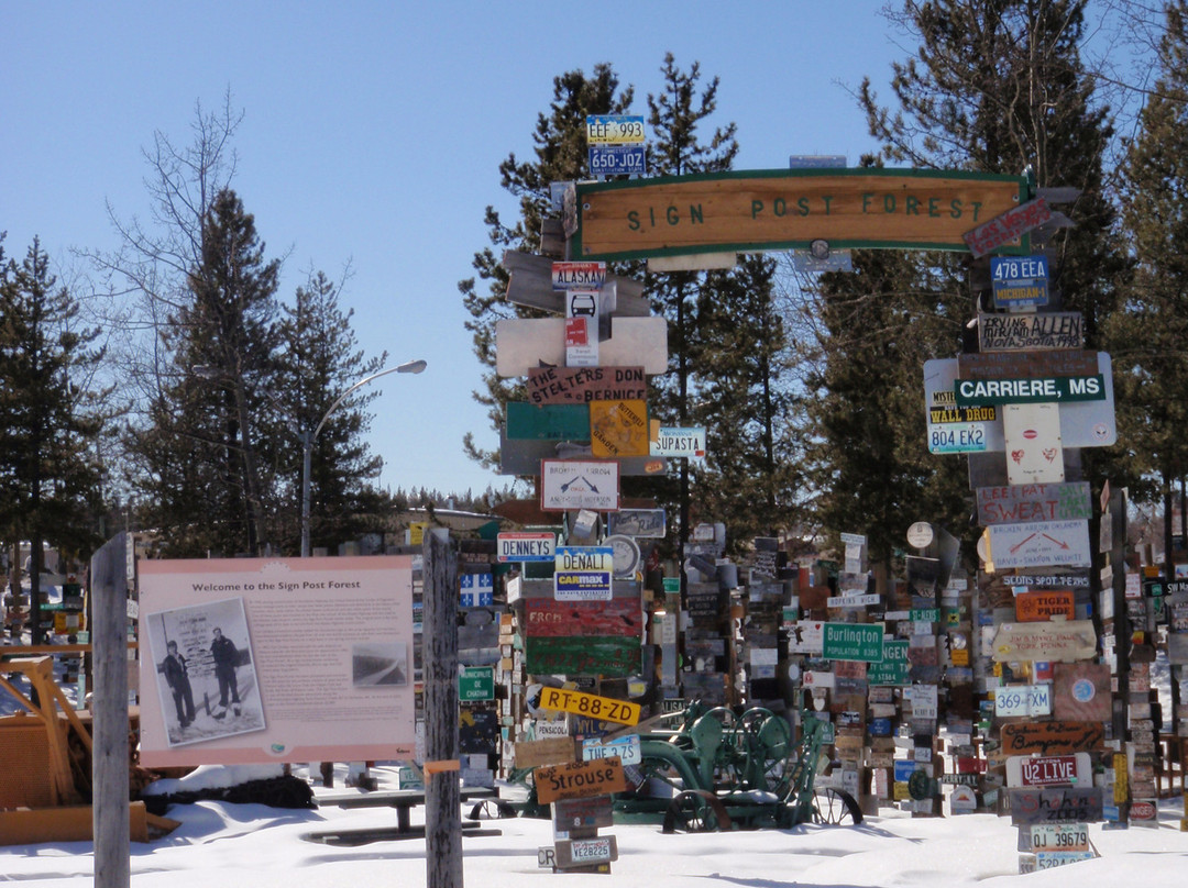 Sign Post Forest-Watson Lake必去景点