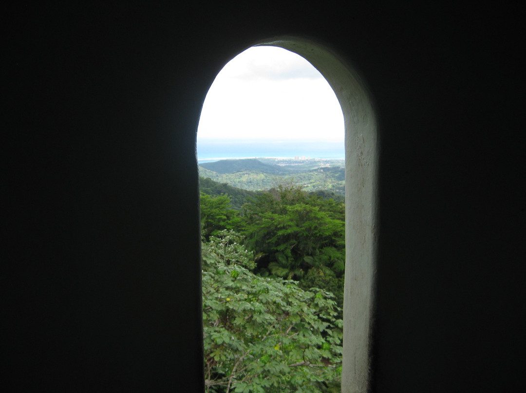 El Yunque National Forest景点图片