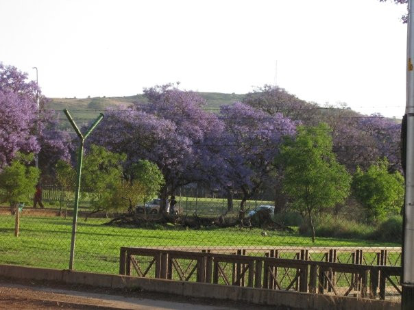 Austin Roberts Bird Sanctuary-比勒陀利亚必去景点