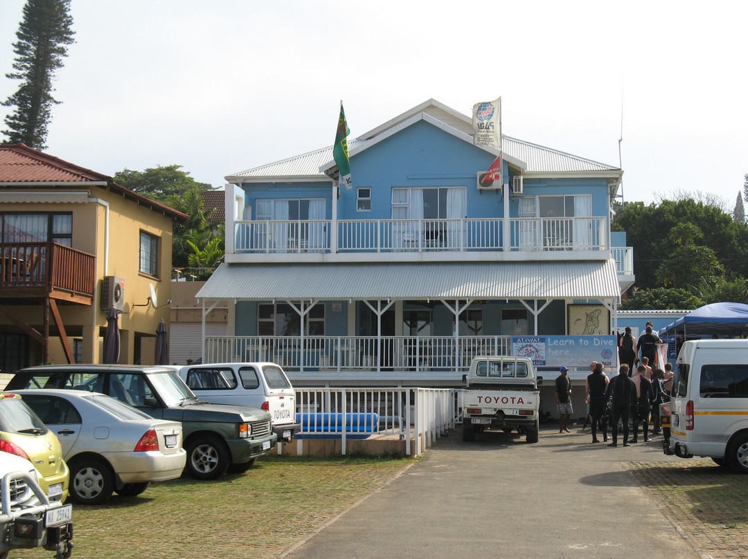 Aliwal Dive Centre-Umkomaas必去景点