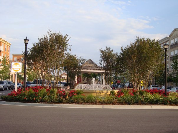 The Market Common-美特尔海滩必去景点