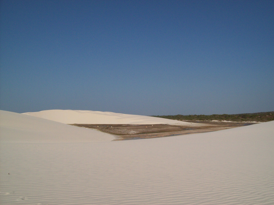 Parque Nacional dos Lençóis Maranhenses景点图片