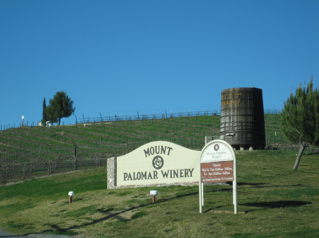 Mount Palomar Winery-特曼库拉必去景点