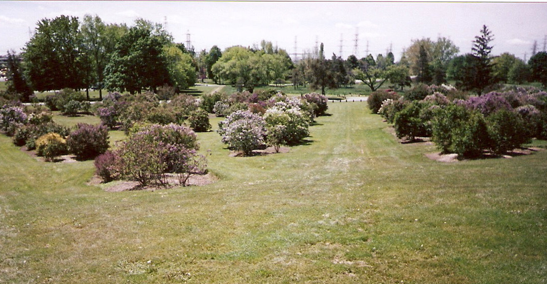 Centennial Lilac Garden景点图片
