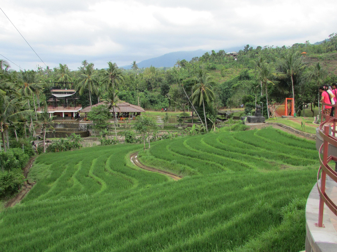 Lovina Bali Trans景点图片