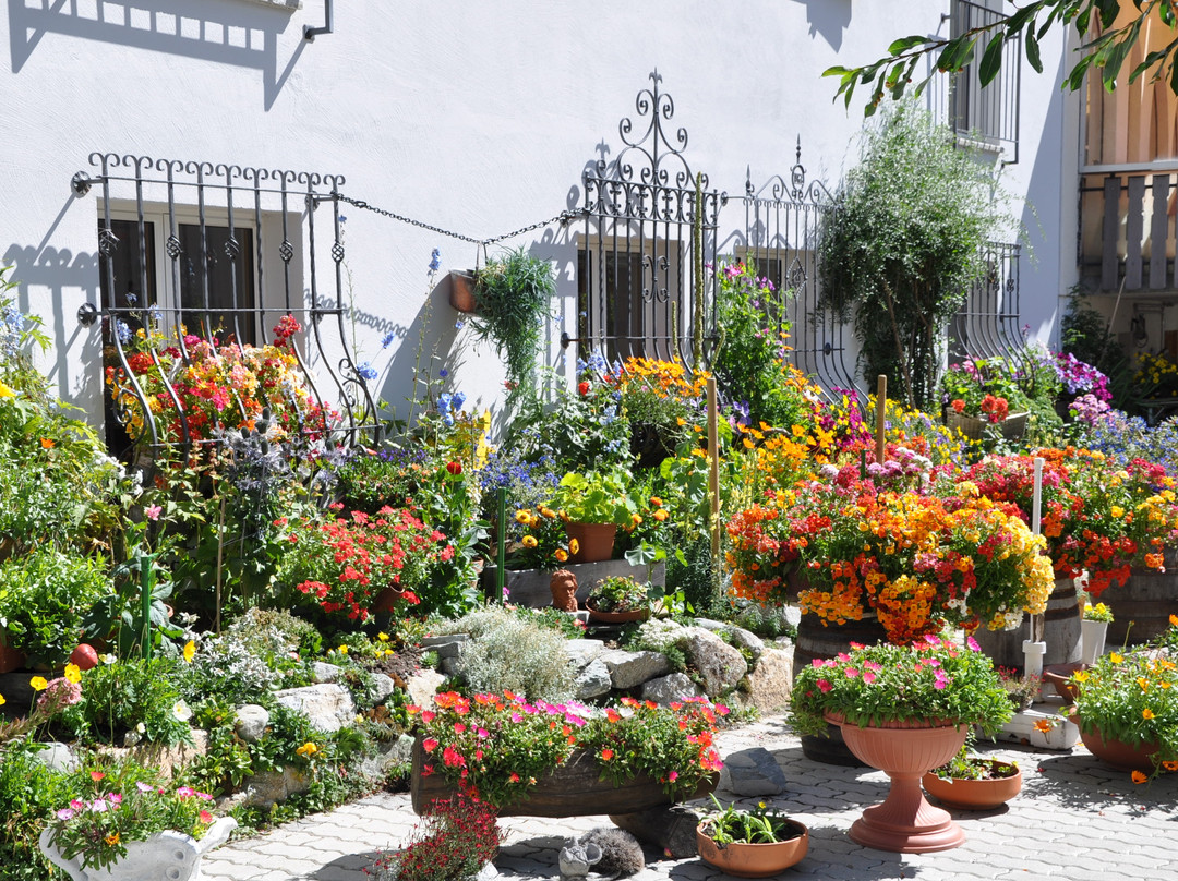 赛莱纳酒店主图