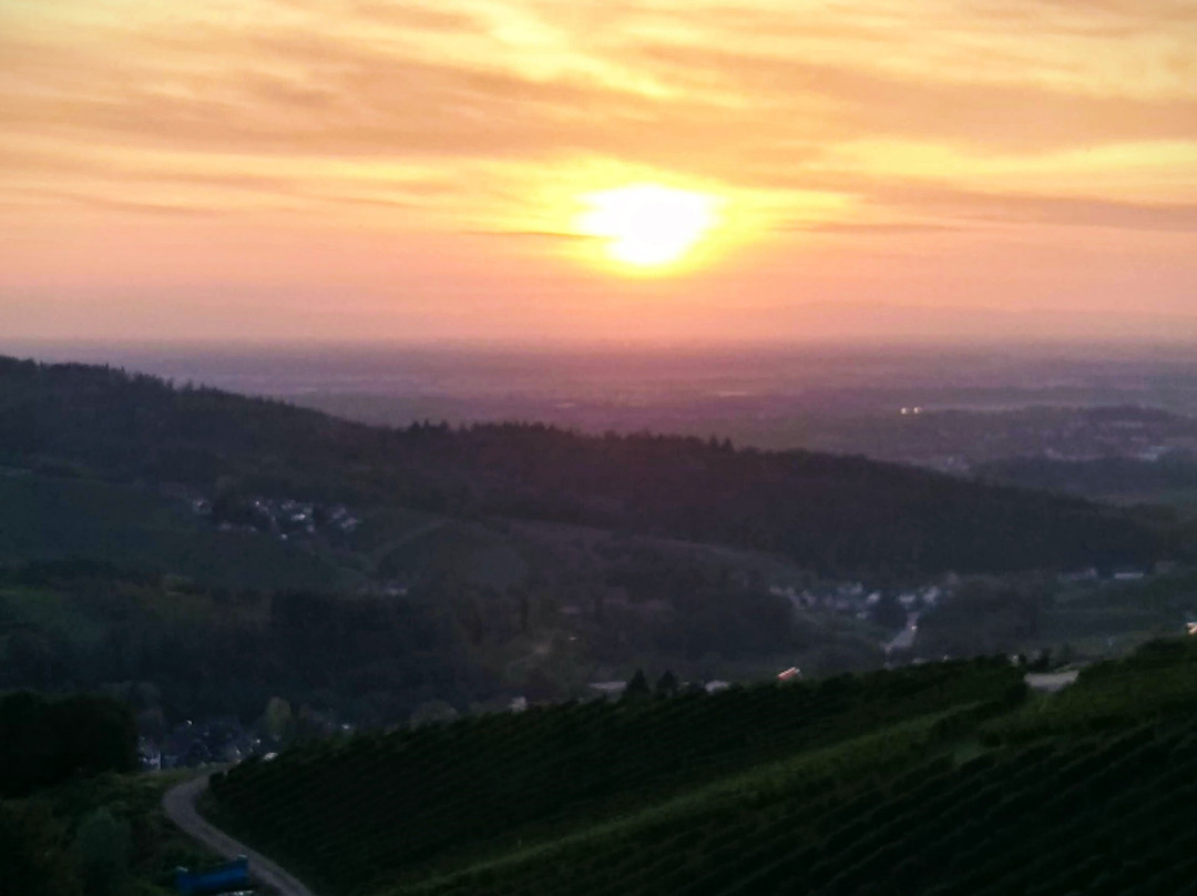 Lauf酒店住宿-Pension Roesch