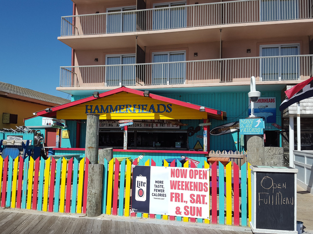 Hammerheads On The Beach