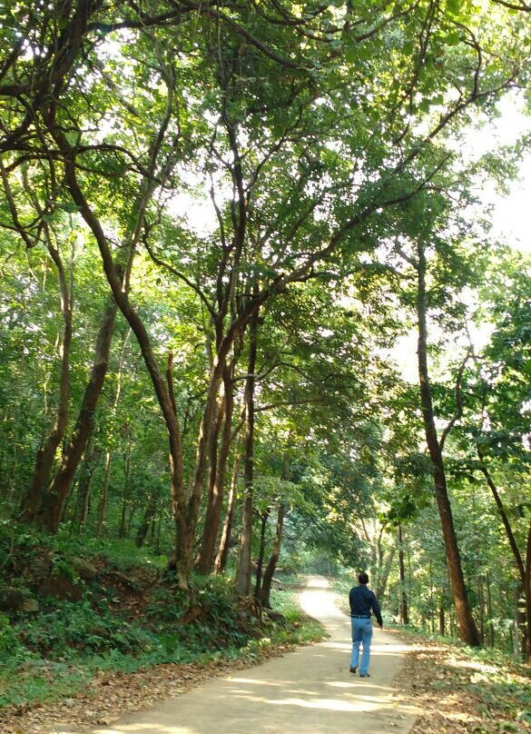 Wild Tadoba Homestay