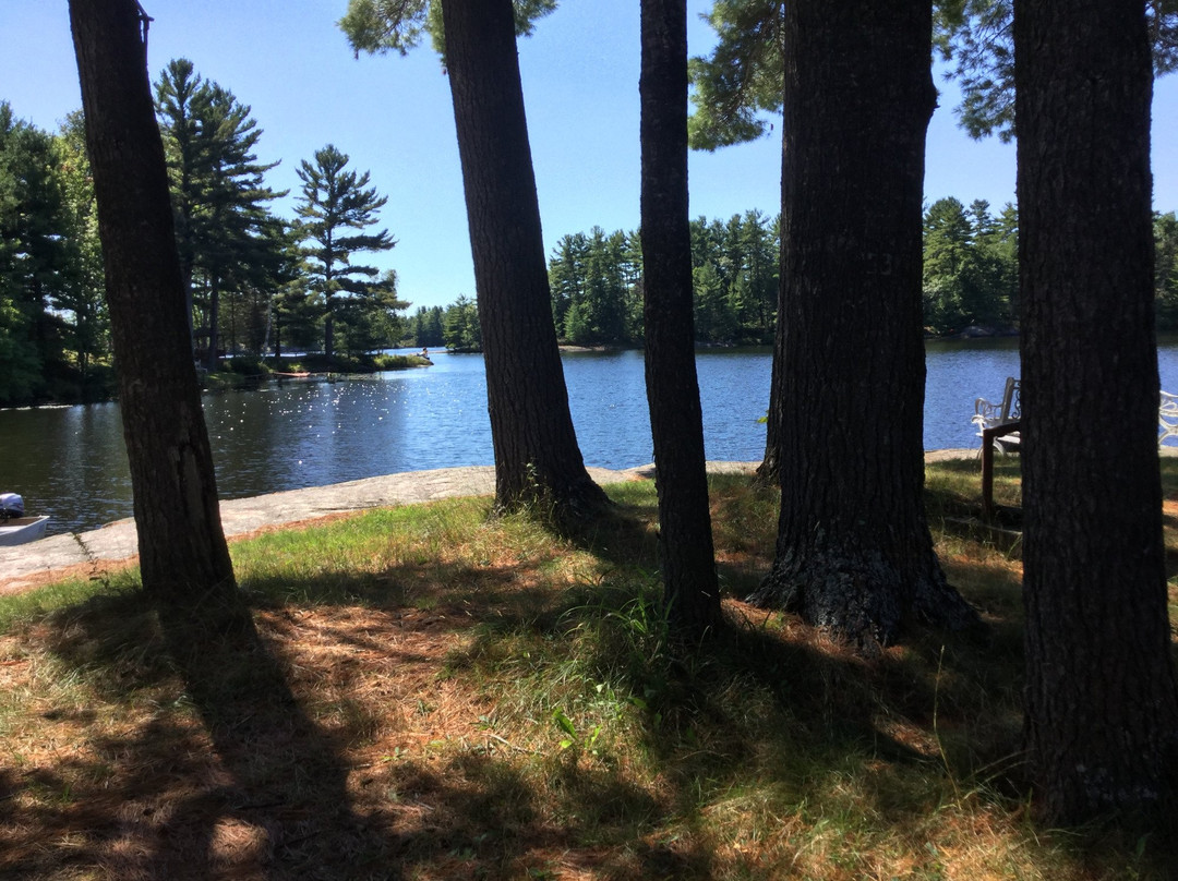 Pine Grove Cottages