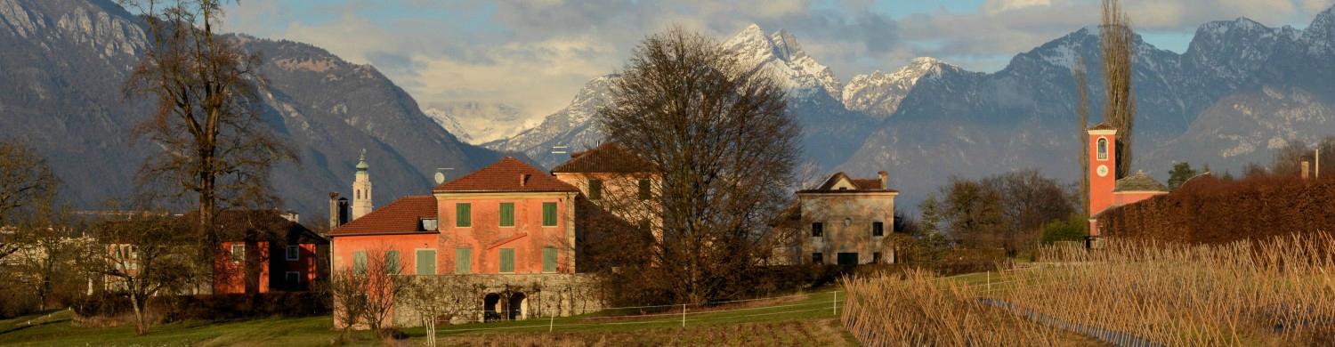 Villa Buzzati-客卧