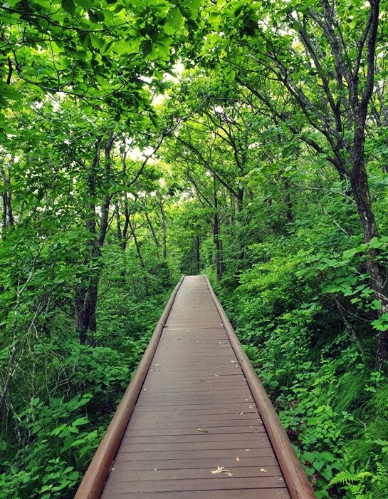 Cheonsunurim-gil Trail