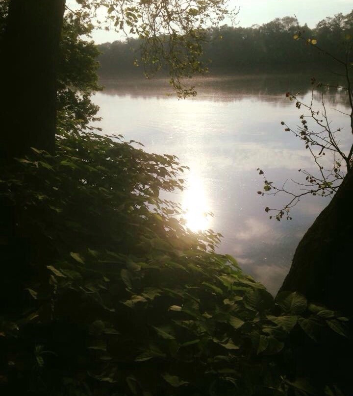 Wray's Riverfront Campground