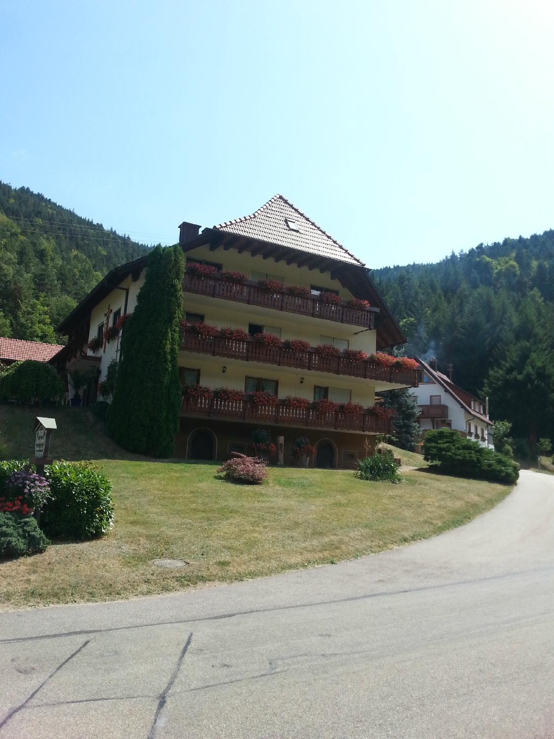 Pension Mosertonihof-客卧