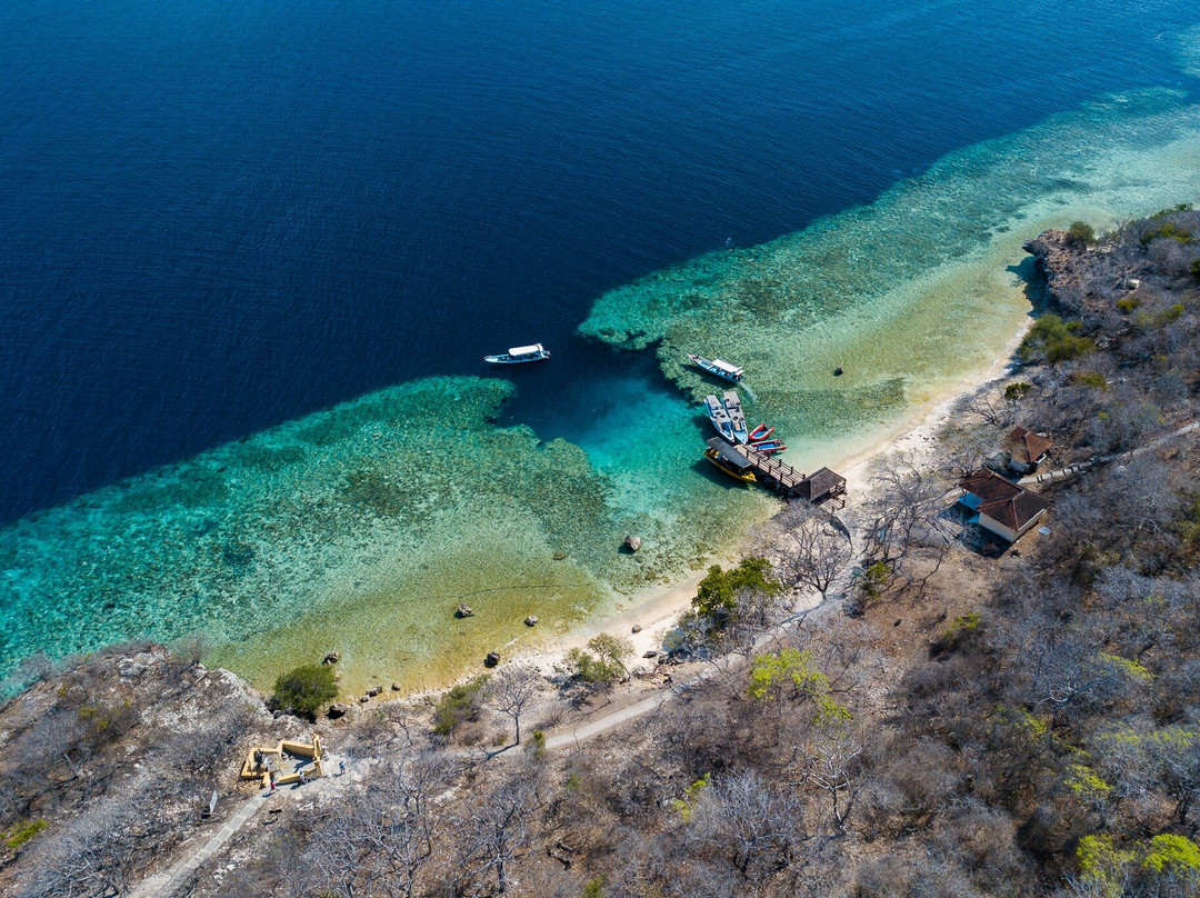 Snorkeling Menjangan Trip-佩母德兰必去景点