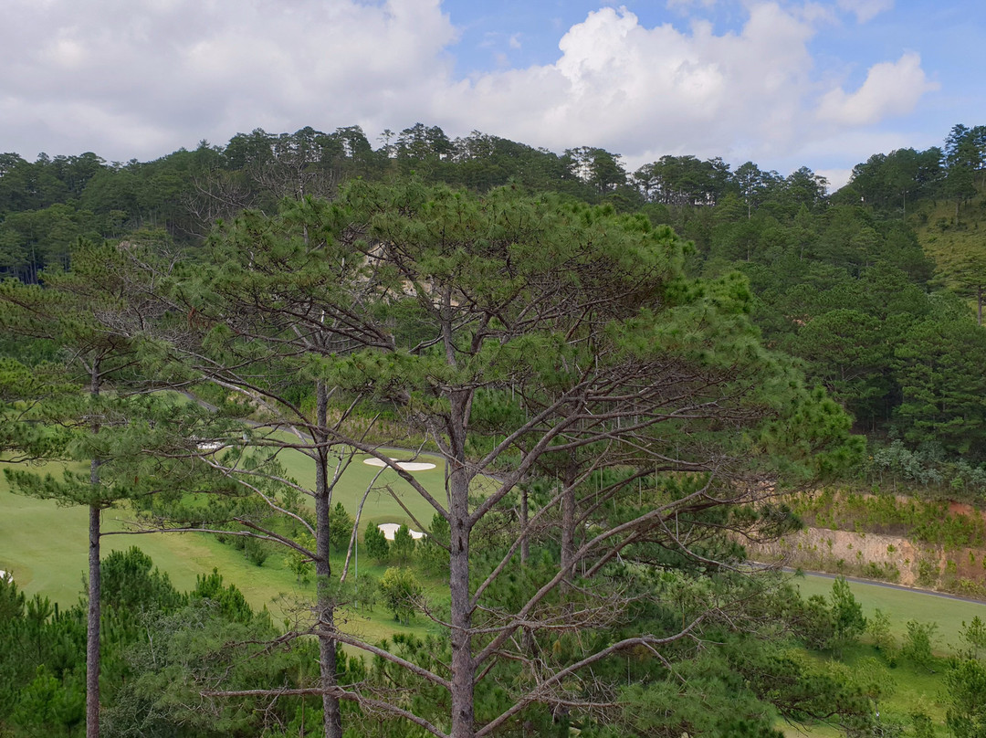 大叻瑞士伯莱索特宣林度假村主图