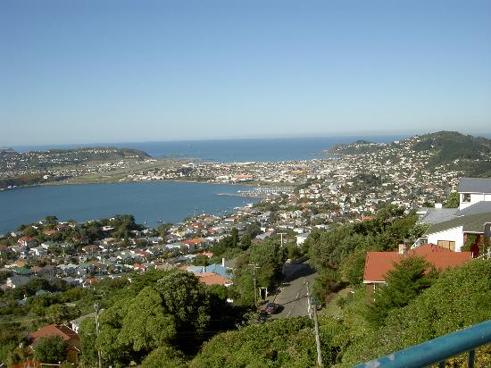 Homestay at Evans Bay-客卧